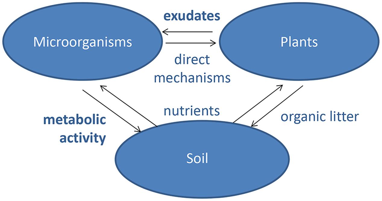 Metabolic Diversity of Microorganisms in Agricultural Soils 